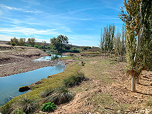Entorno del río Agusvivas