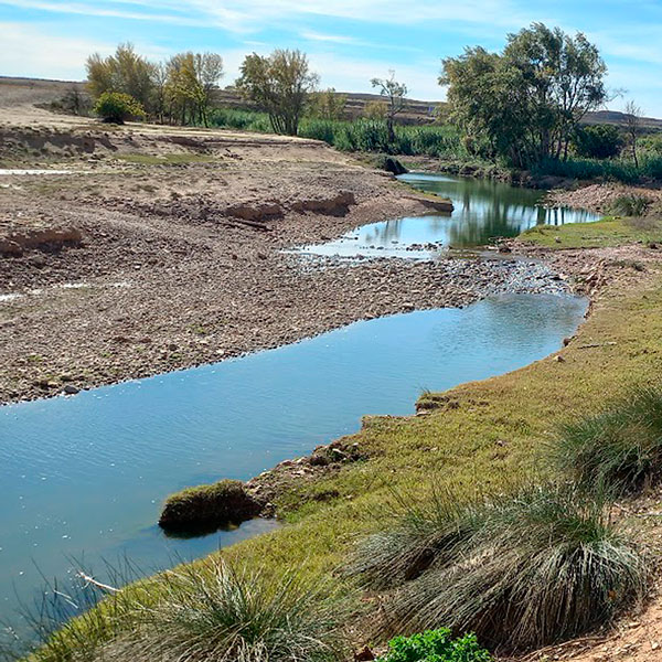 Orillas del Río Aguasvivas